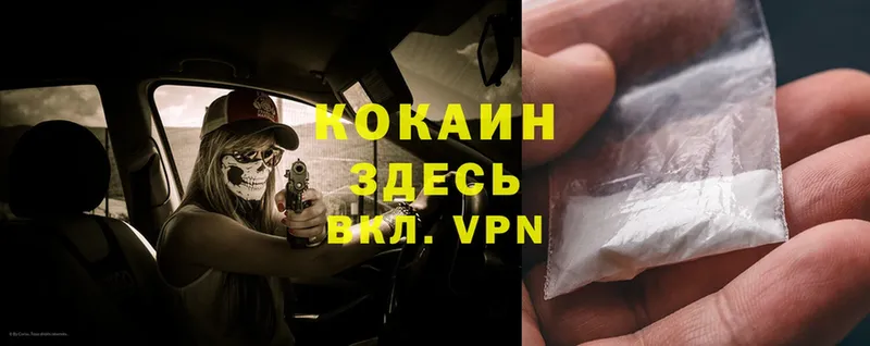 Cocaine Fish Scale  Реутов 